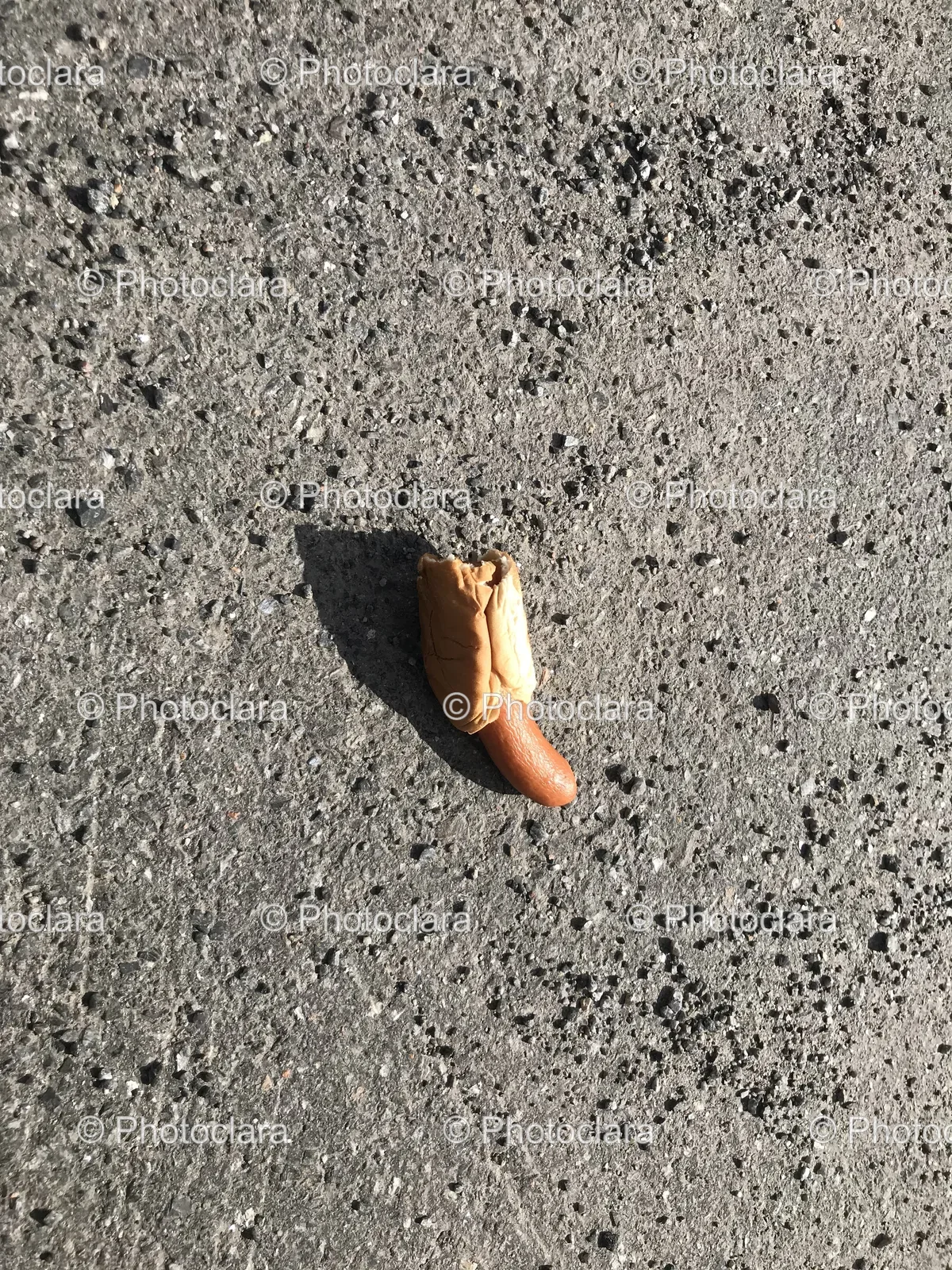 Hot-Dog-on-Gravel-Road.jpg