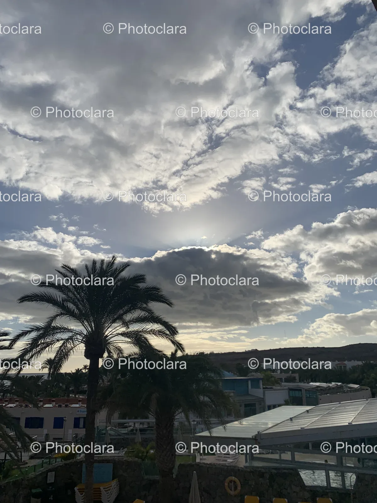 Palm-Trees-And-Buildings-Under-A-Cloudy-Sky.jpg