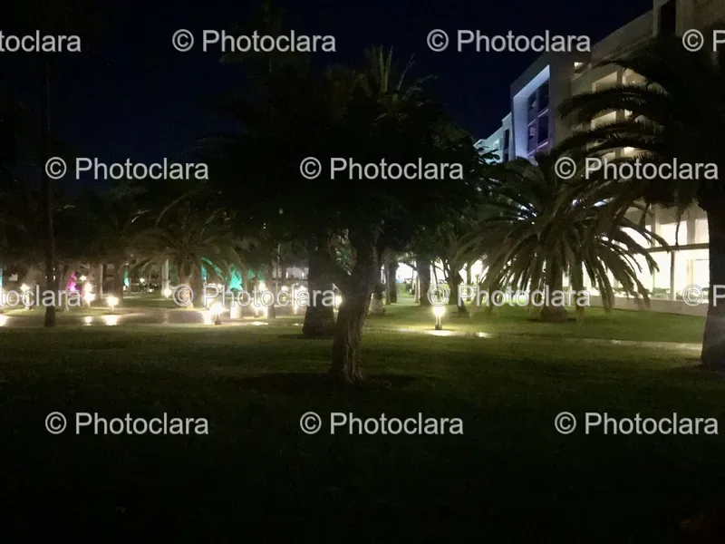 Park Scenes