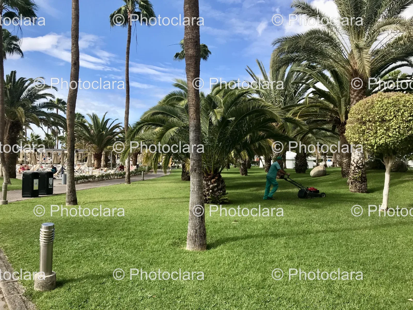 Person-Mowing-Grass-in-Park.jpg