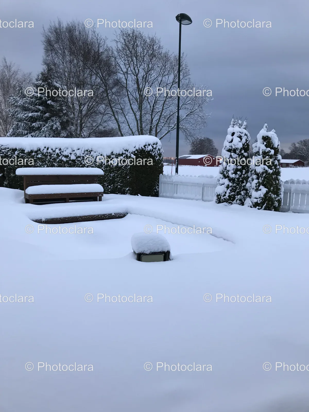 Snowy-Park-with-Benches-and-Trees.jpg