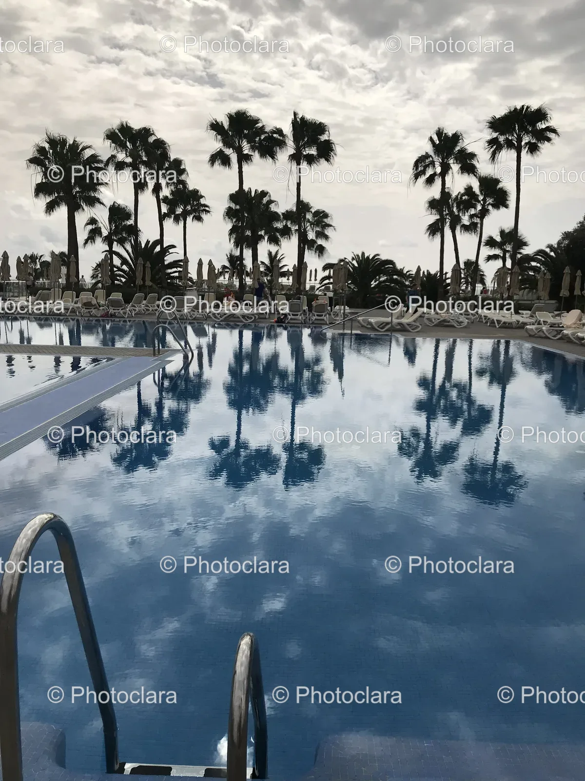 serene-pool-palm-trees-cloudy-sky.jpg