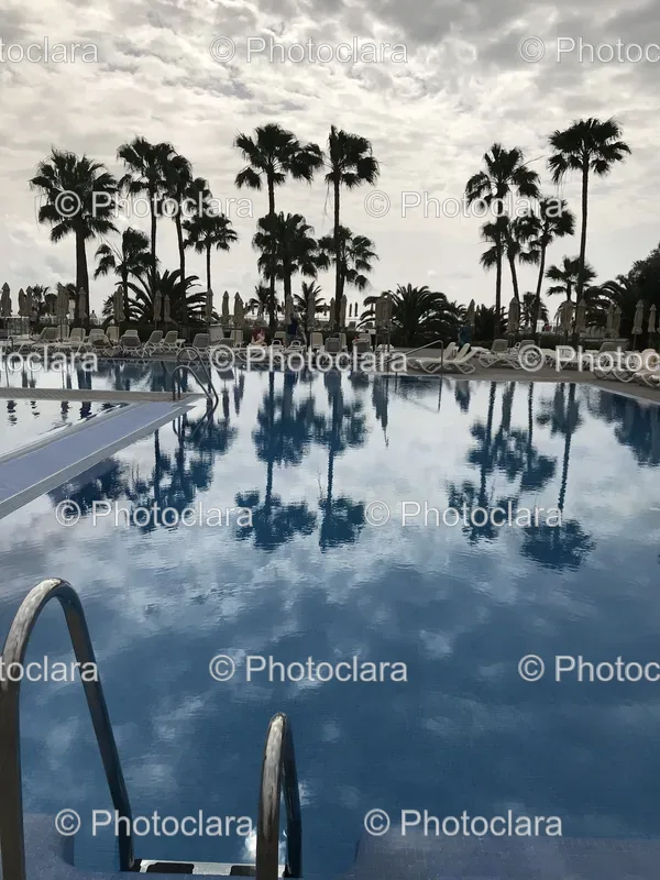 Poolside Serenity