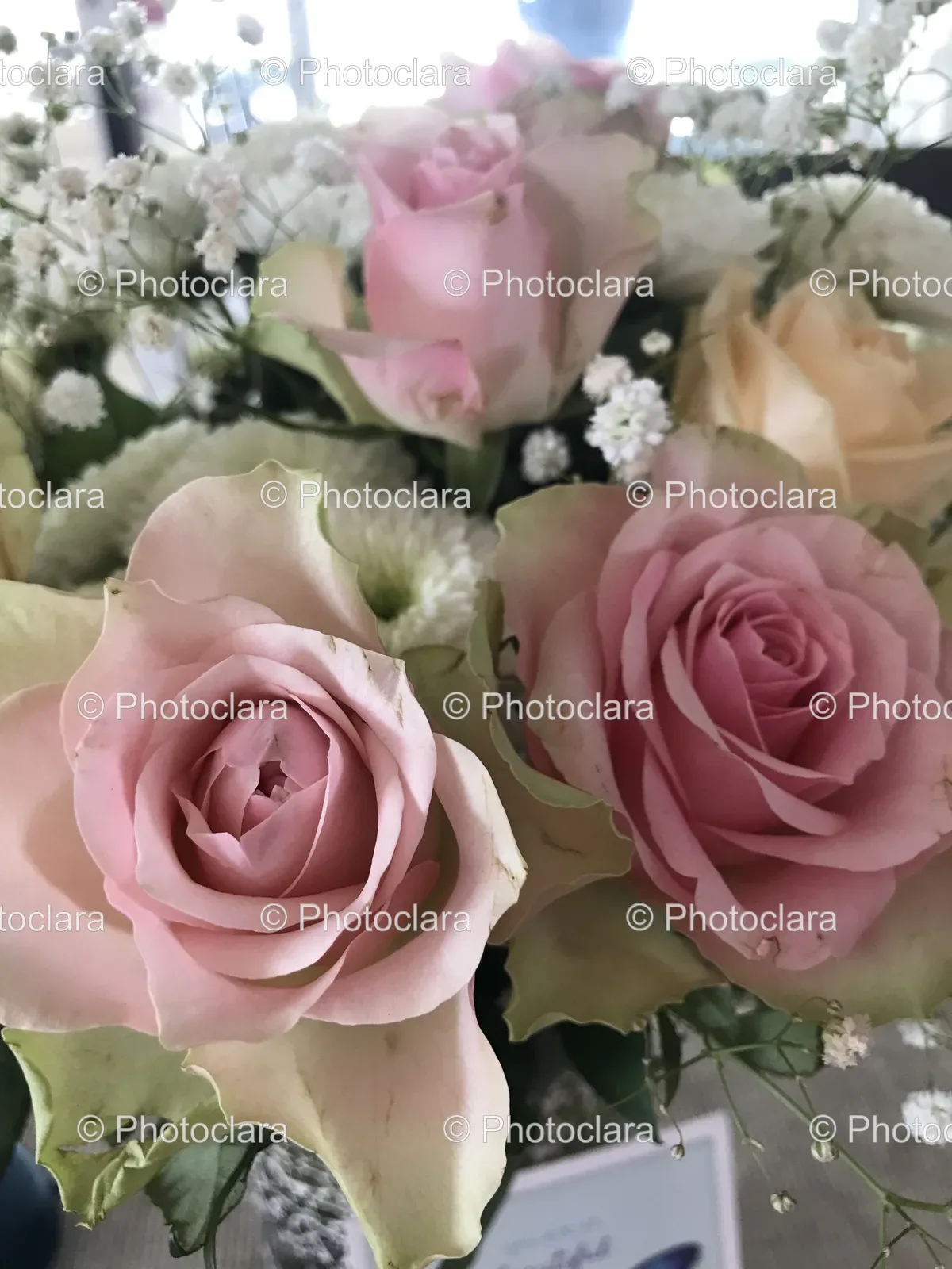 elegant-bouquet-of-pink-roses.jpg