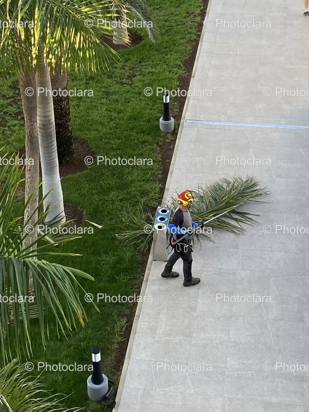 Gardening-on-the-Sidewalk.jpg
