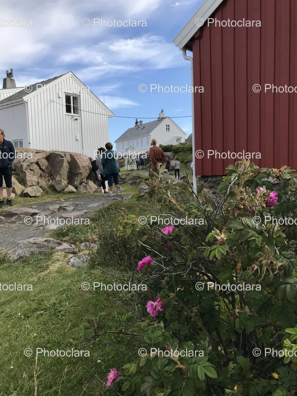 walking-by-blooming-bush.jpg