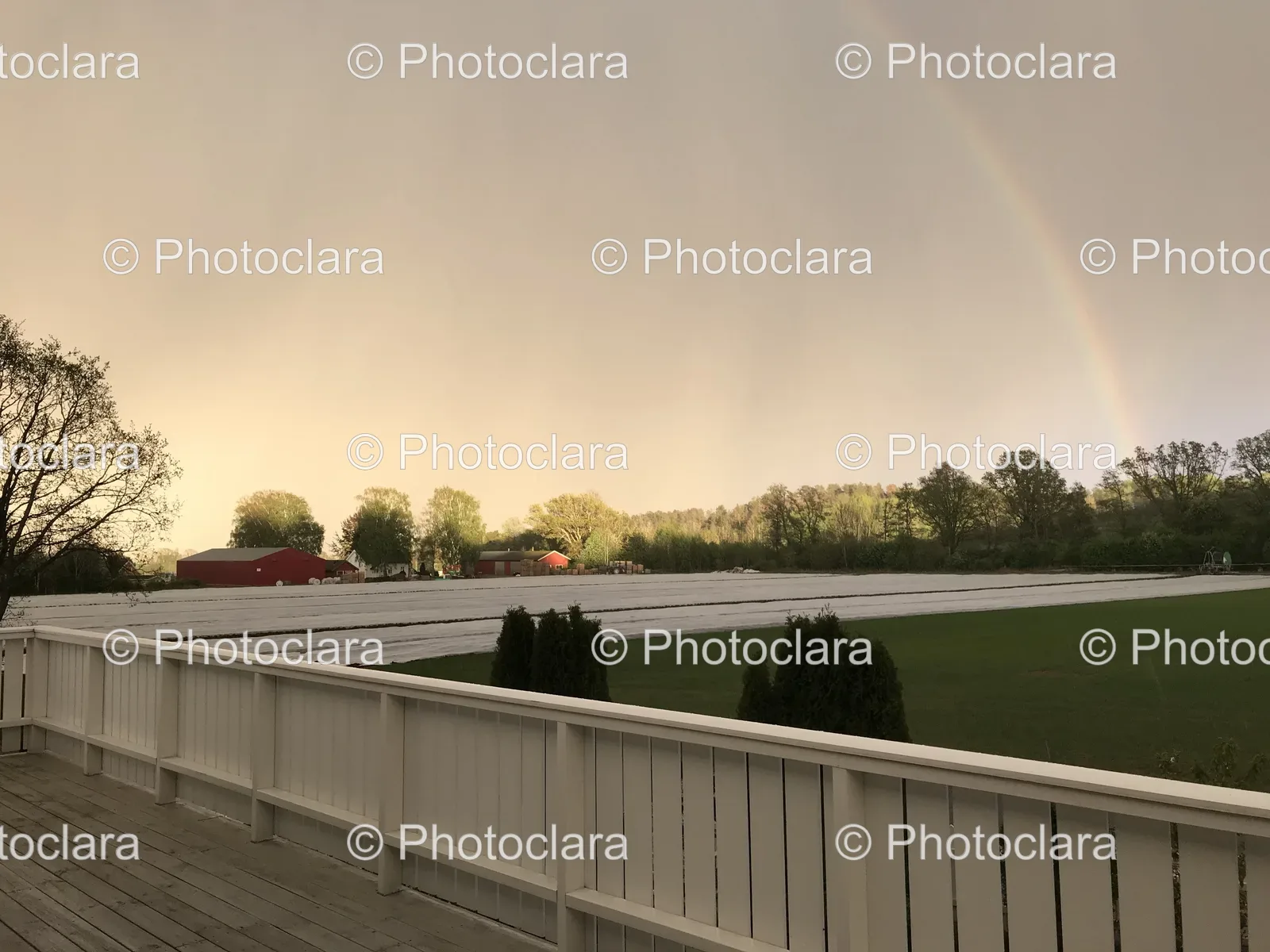 Rainbow-Over-Field.jpg