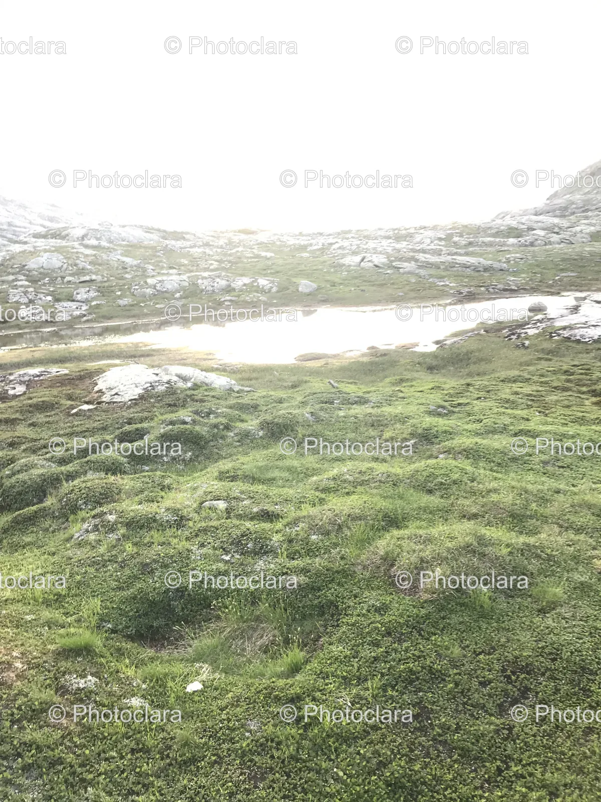Grassy-Area-Distant-River.jpg