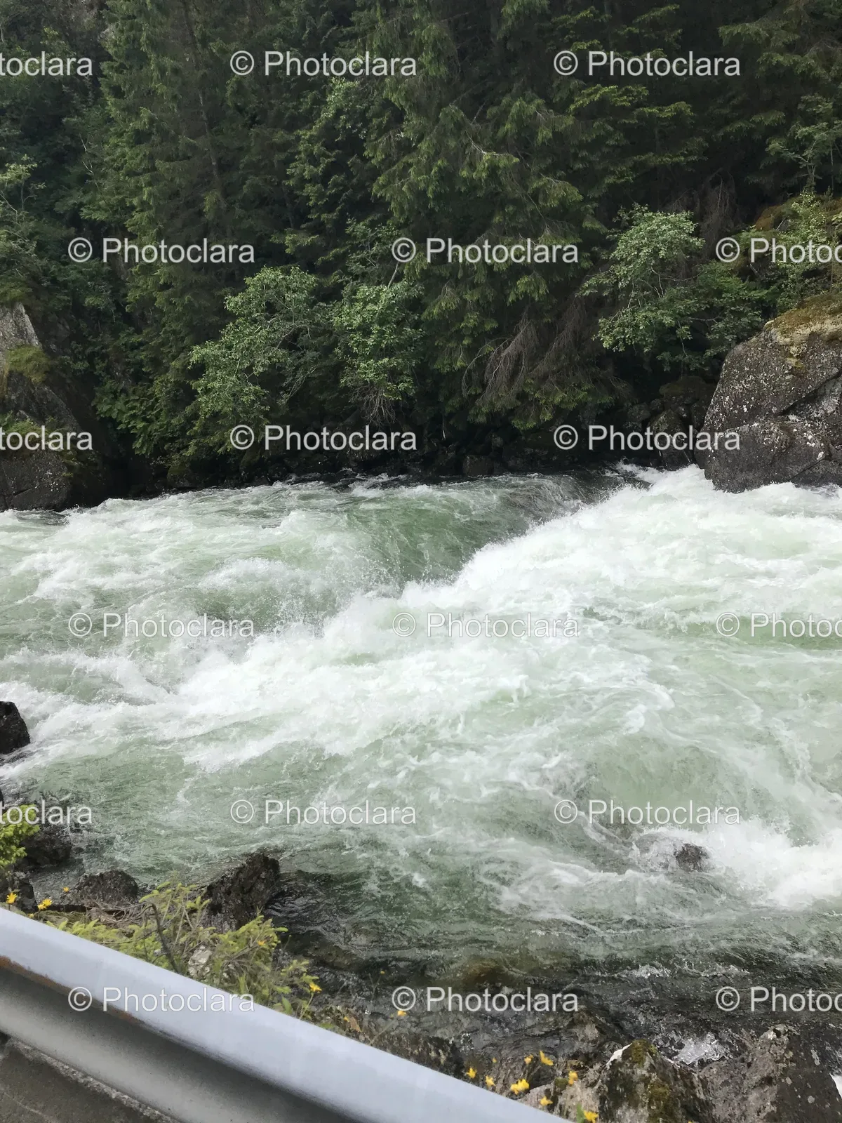 Tranquil-River-Amidst-Rocks-and-Trees.jpg