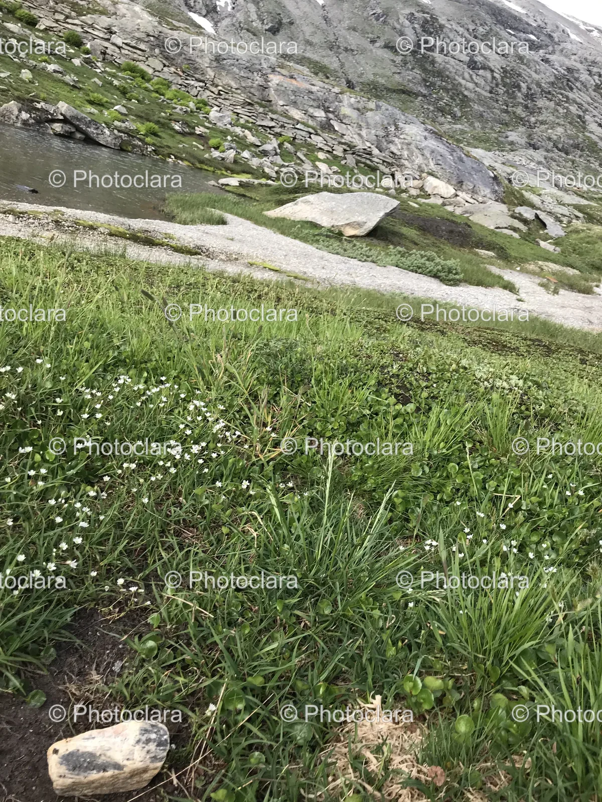 Grassy-Hill-with-Rocks-and-River.jpg
