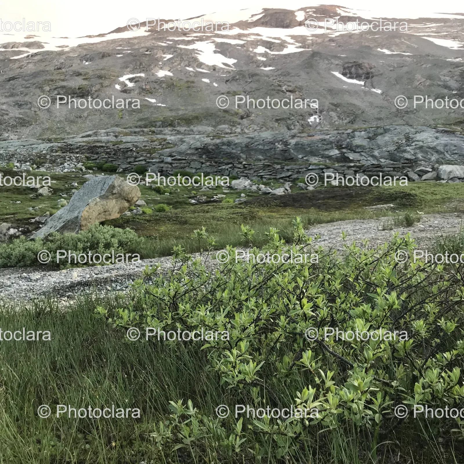 majestic-rocky-snow-capped-mountain.jpg