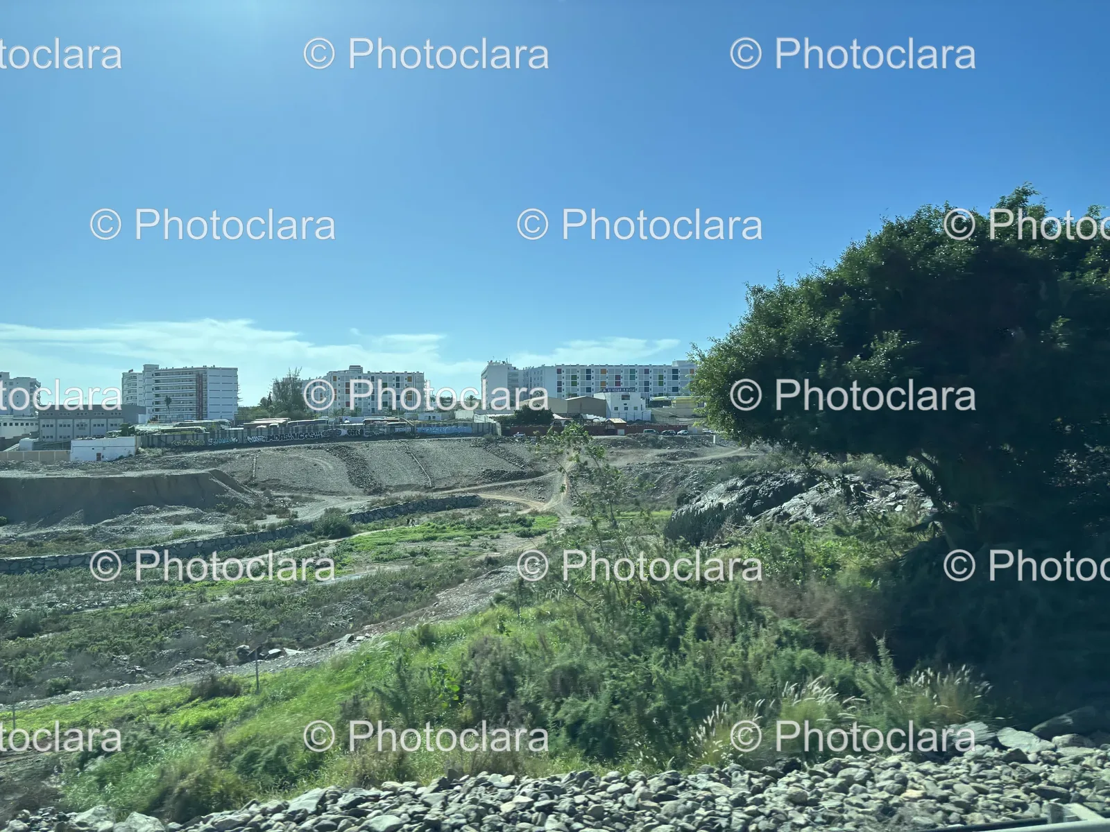 Rocky-Landscape-with-Tree-and-City-Backdrop.jpg