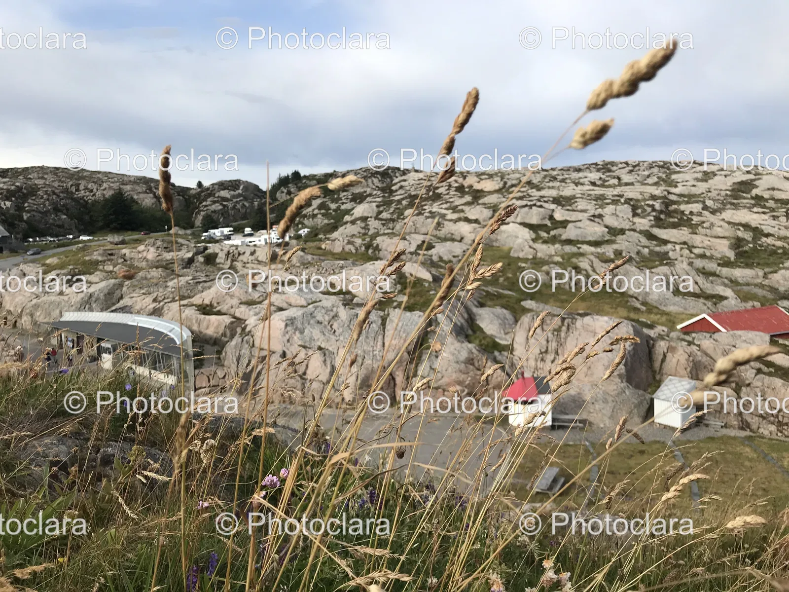 grass-and-rocks-buildings-background.jpg