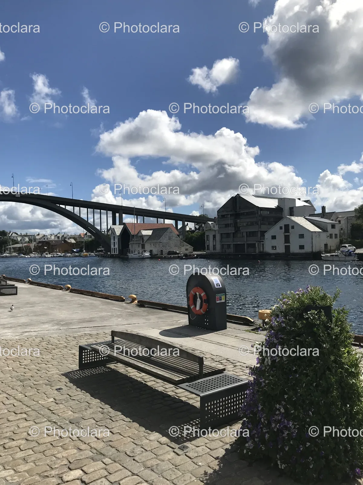 dockside-serenity-with-bench.jpg