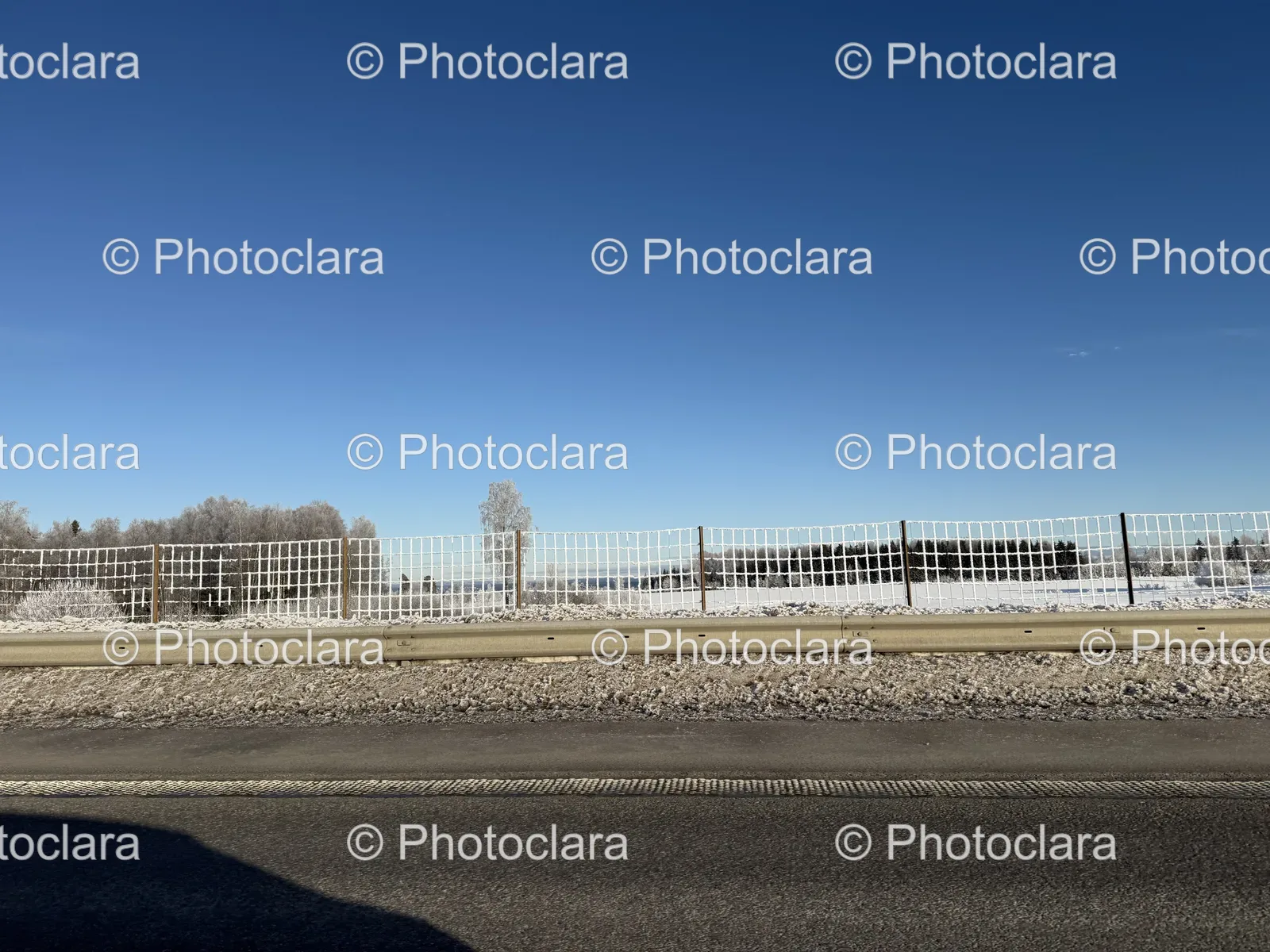 Fence-by-Roadside.jpg