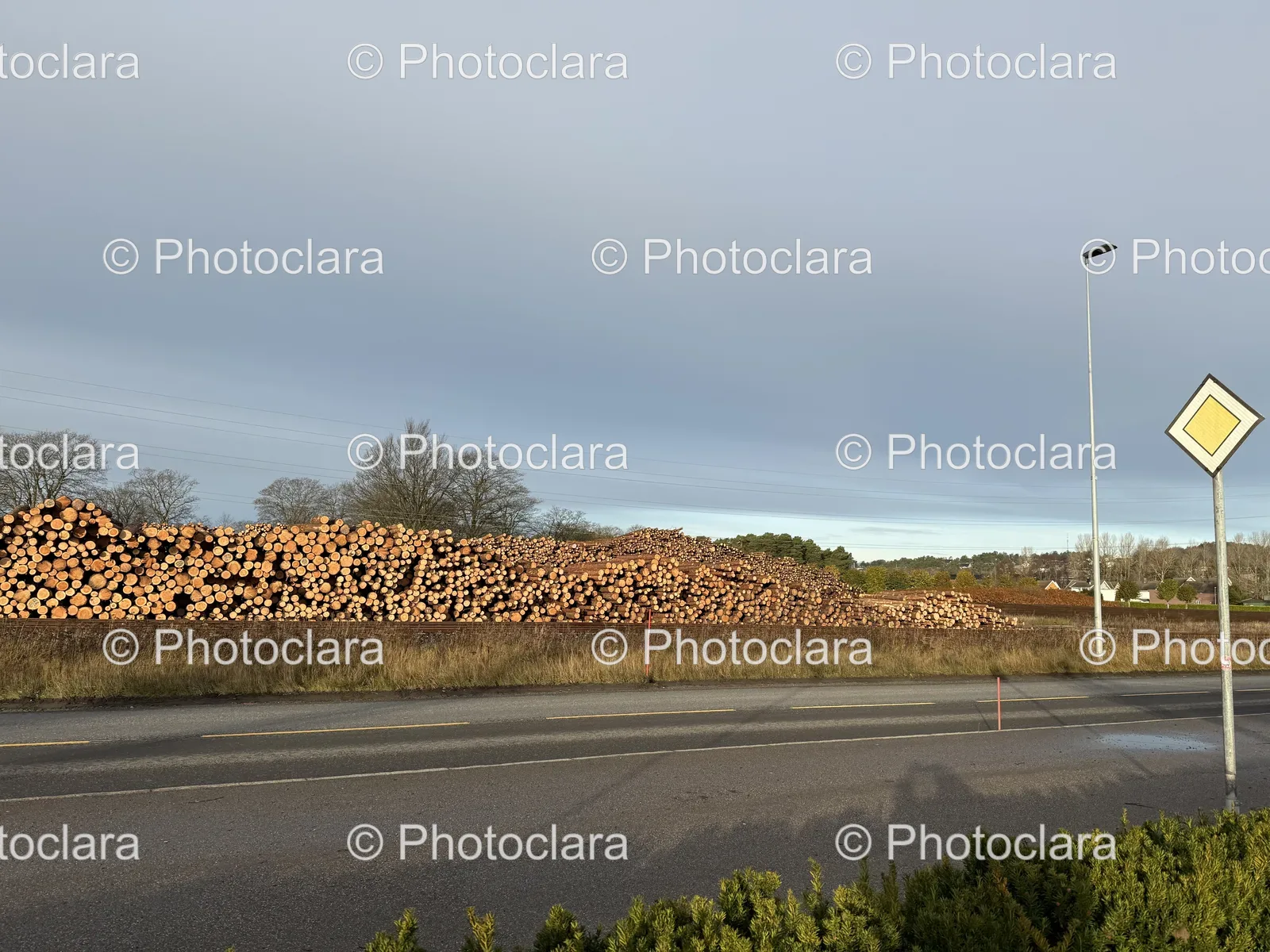 Road-and-Logs-in-Scenic-Landscape.jpg