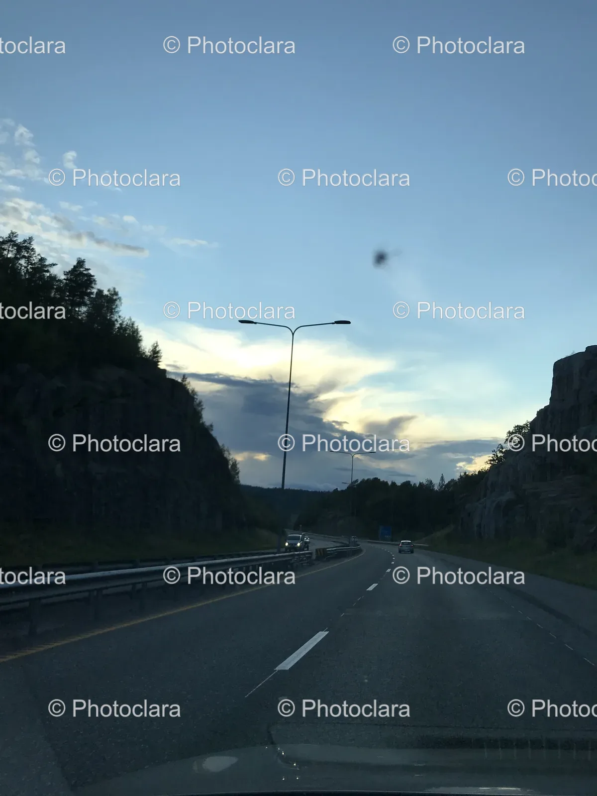 road-with-trees-under-a-cloudy-sky.jpg