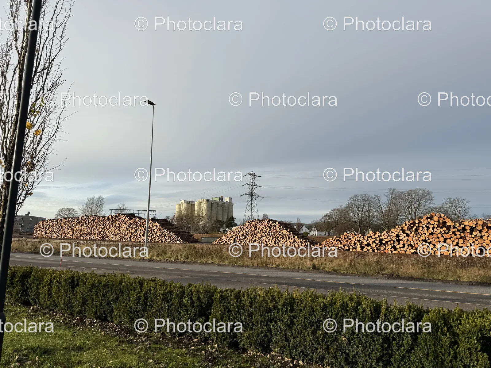 Roadside-Log-Pile.jpg