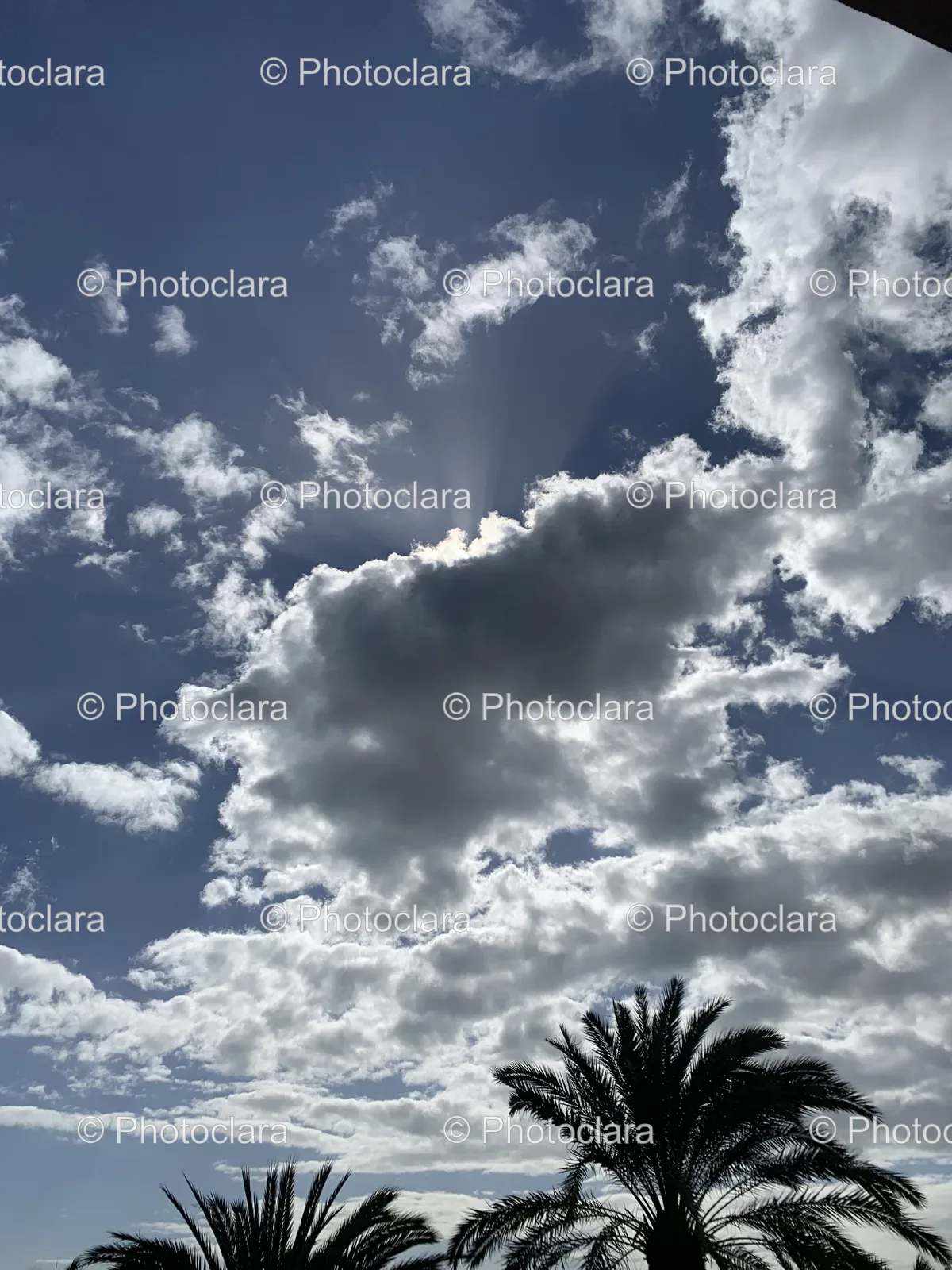 sunlight-piercing-through-clouds-with-palm-trees.jpg