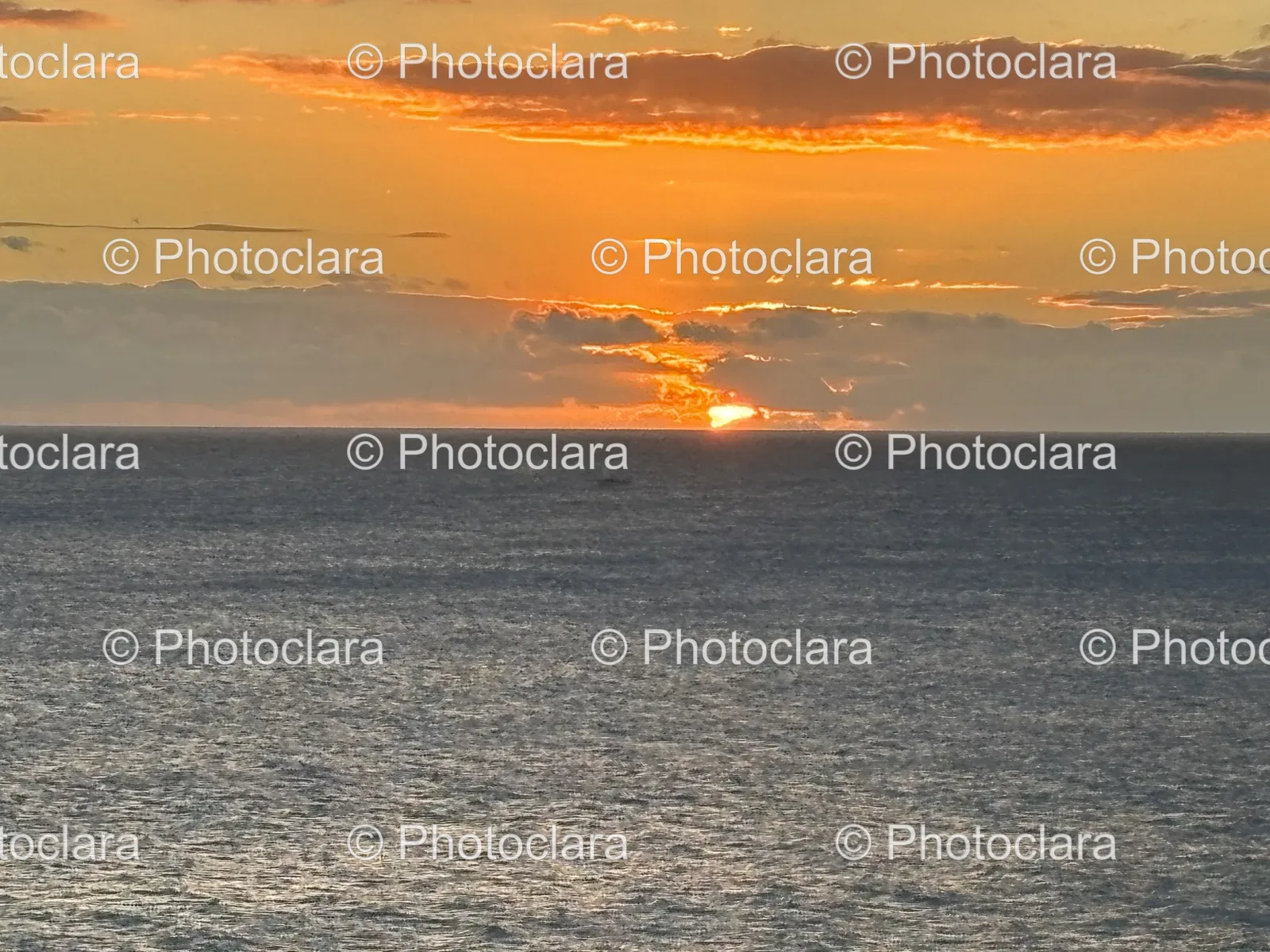 ocean-sunset.jpg