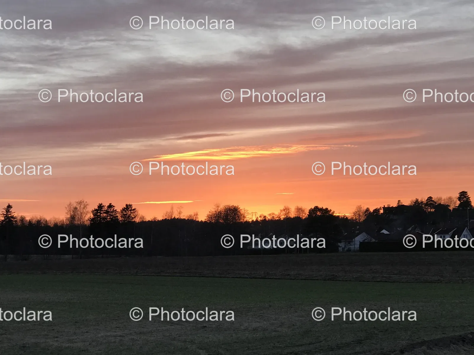 Serene-Sunset-Over-Field.jpg