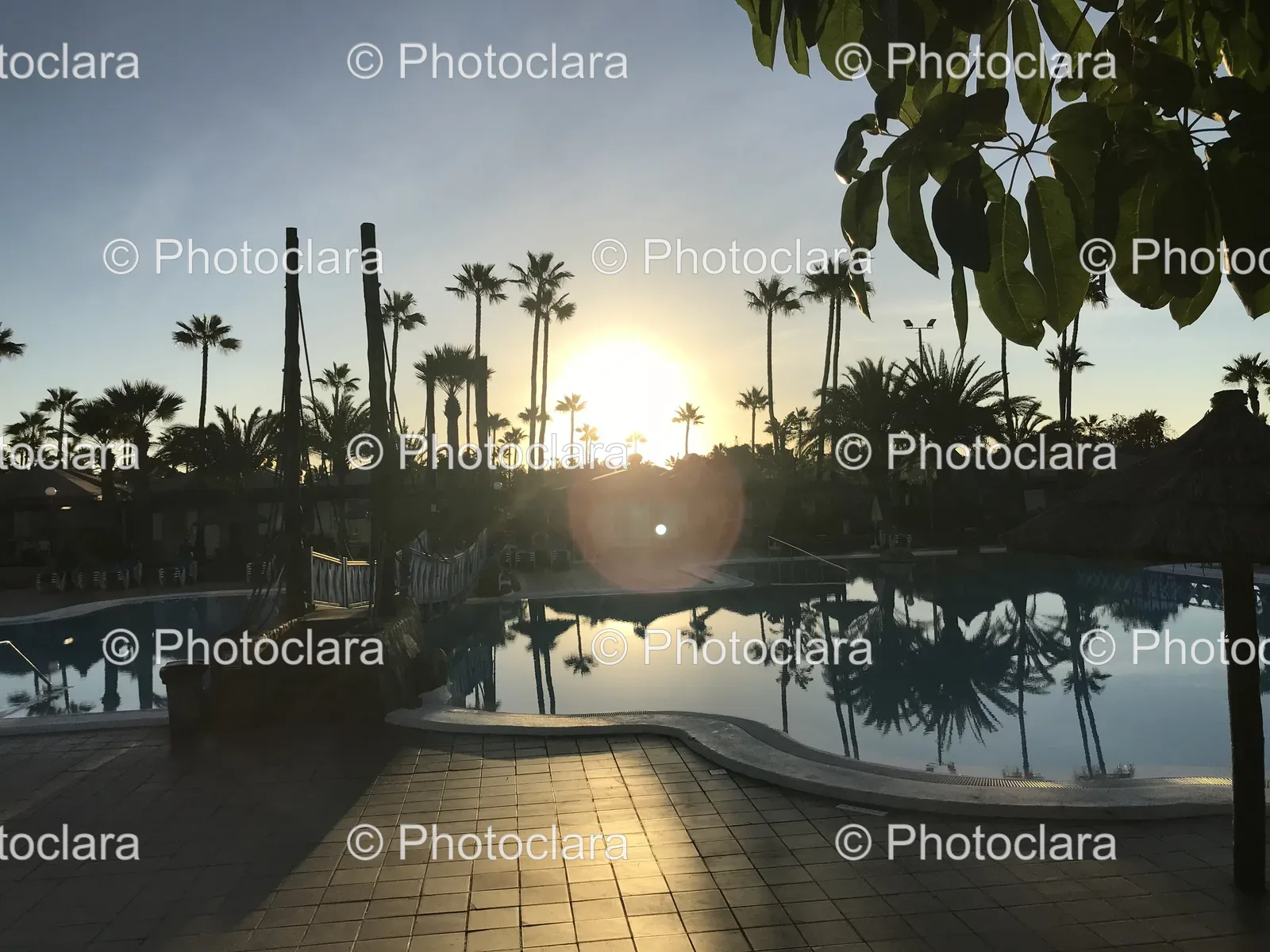 Sunset-Poolside-with-Palm-Trees.jpg