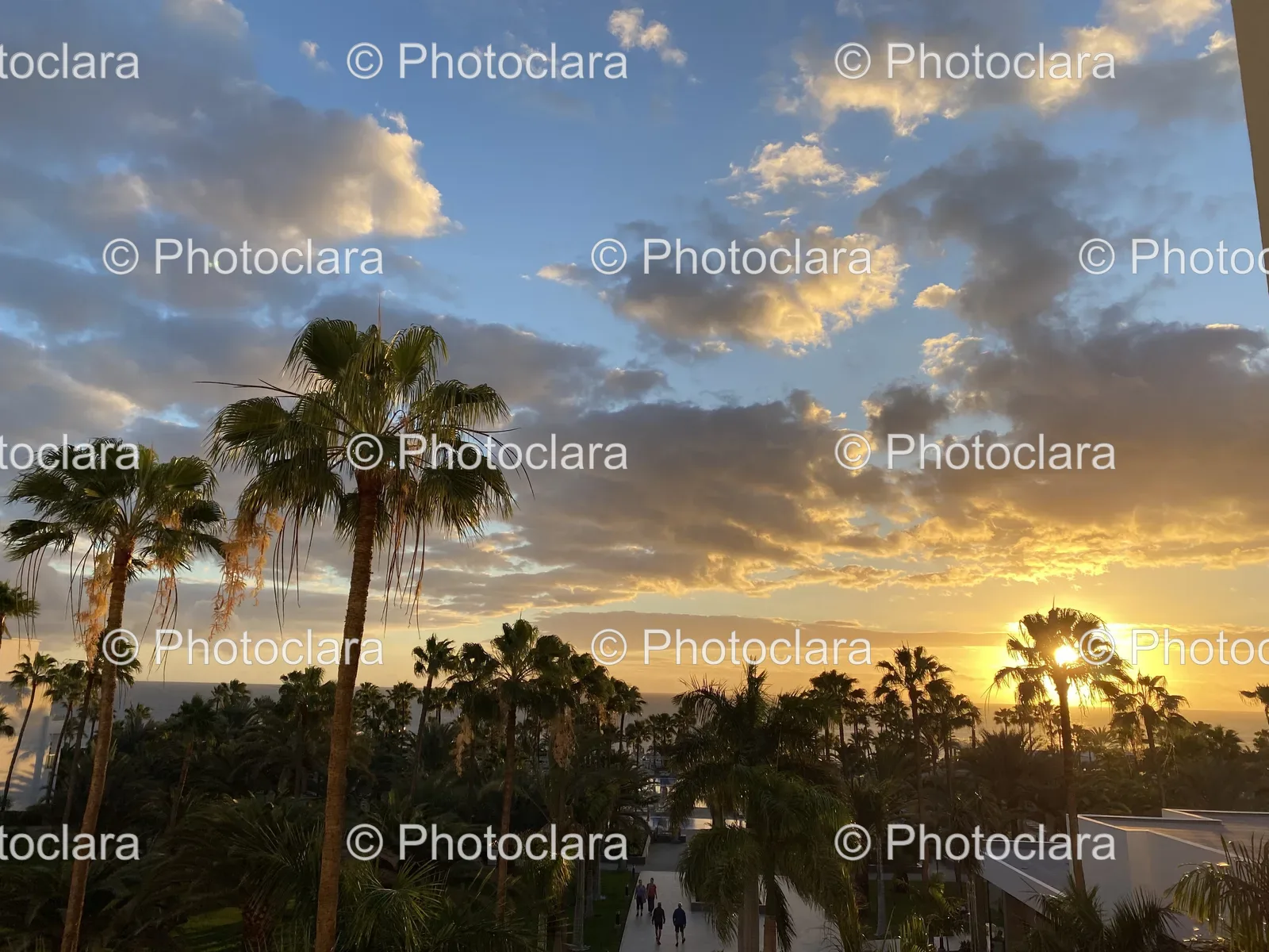 tropical-sunset-road.jpg