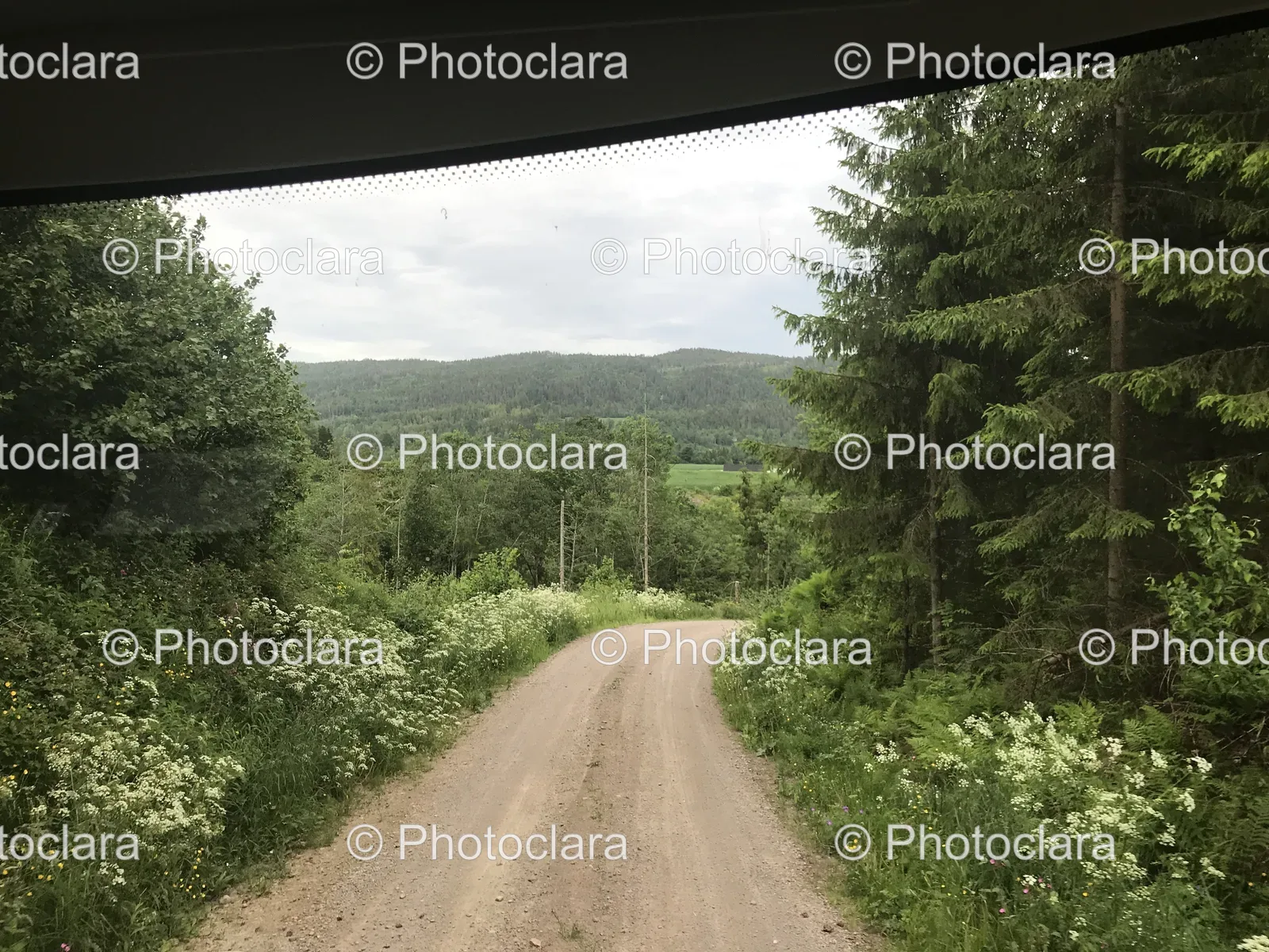 Dirt-Road-through-Forest.jpg