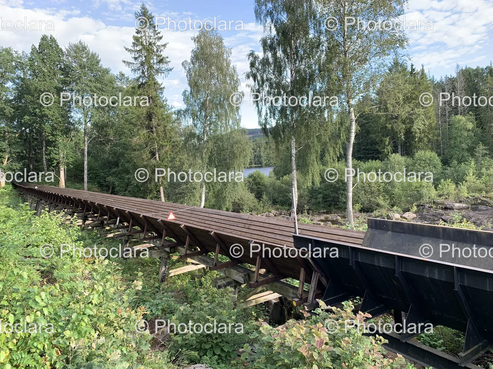 Long-Wooden-Bridge-Through-Trees.jpg