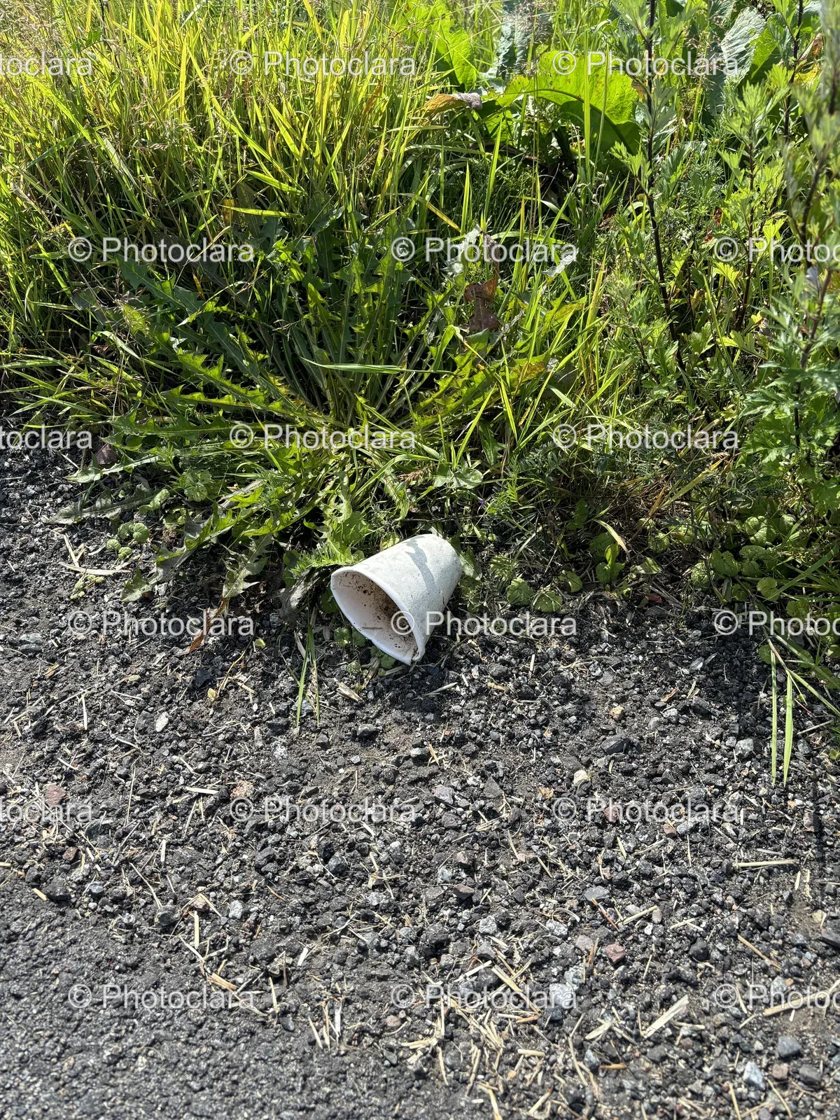 discarded-cup-on-grass.jpg