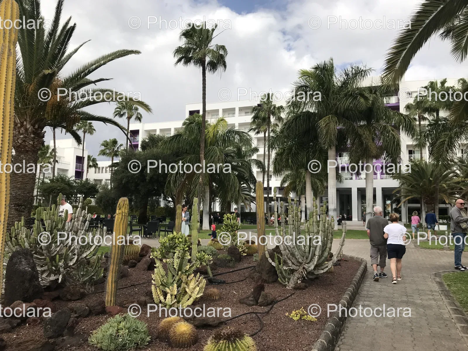 people-strolling-by-palm-trees.jpg