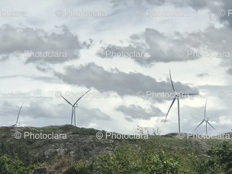 Wind Farms and Turbines
