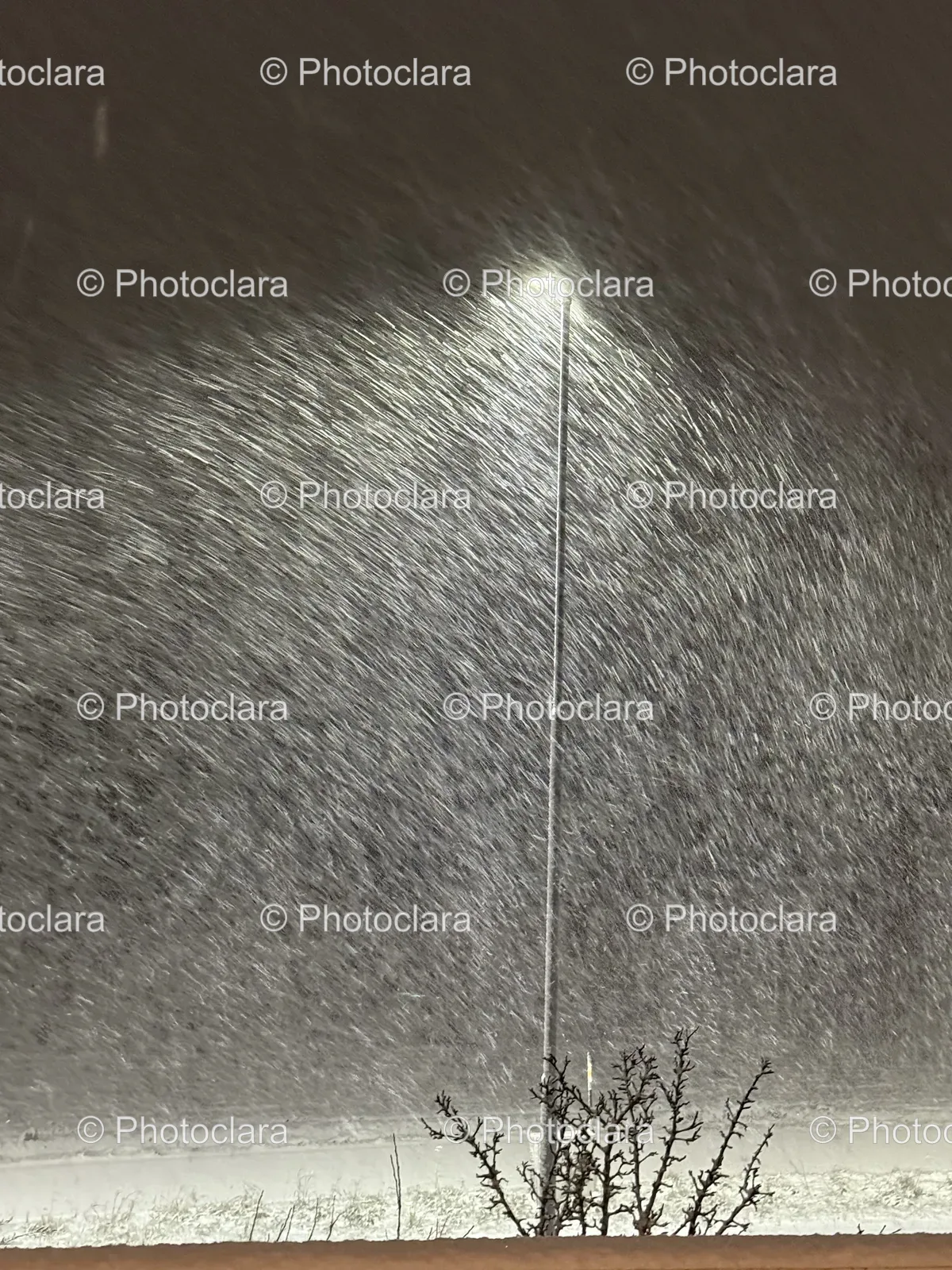 A-Light-Pole-in-the-Rain.jpg