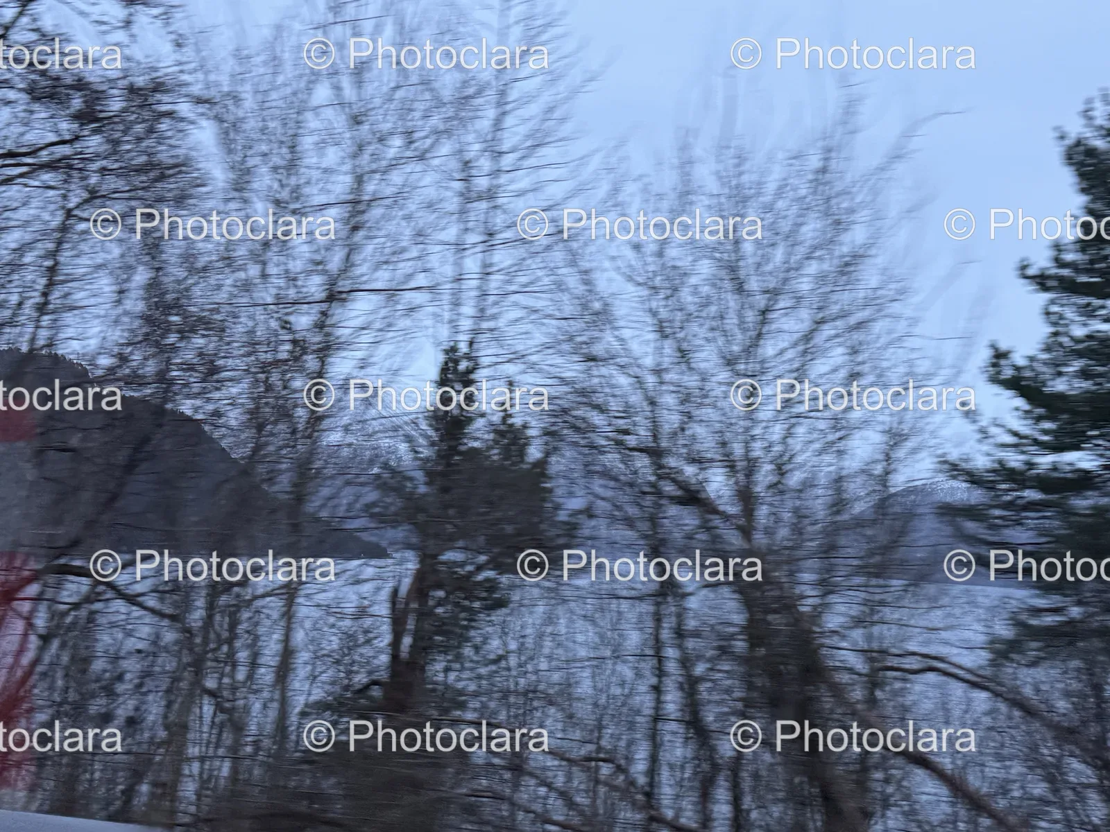 Frozen-Blizzard-Scene.jpg