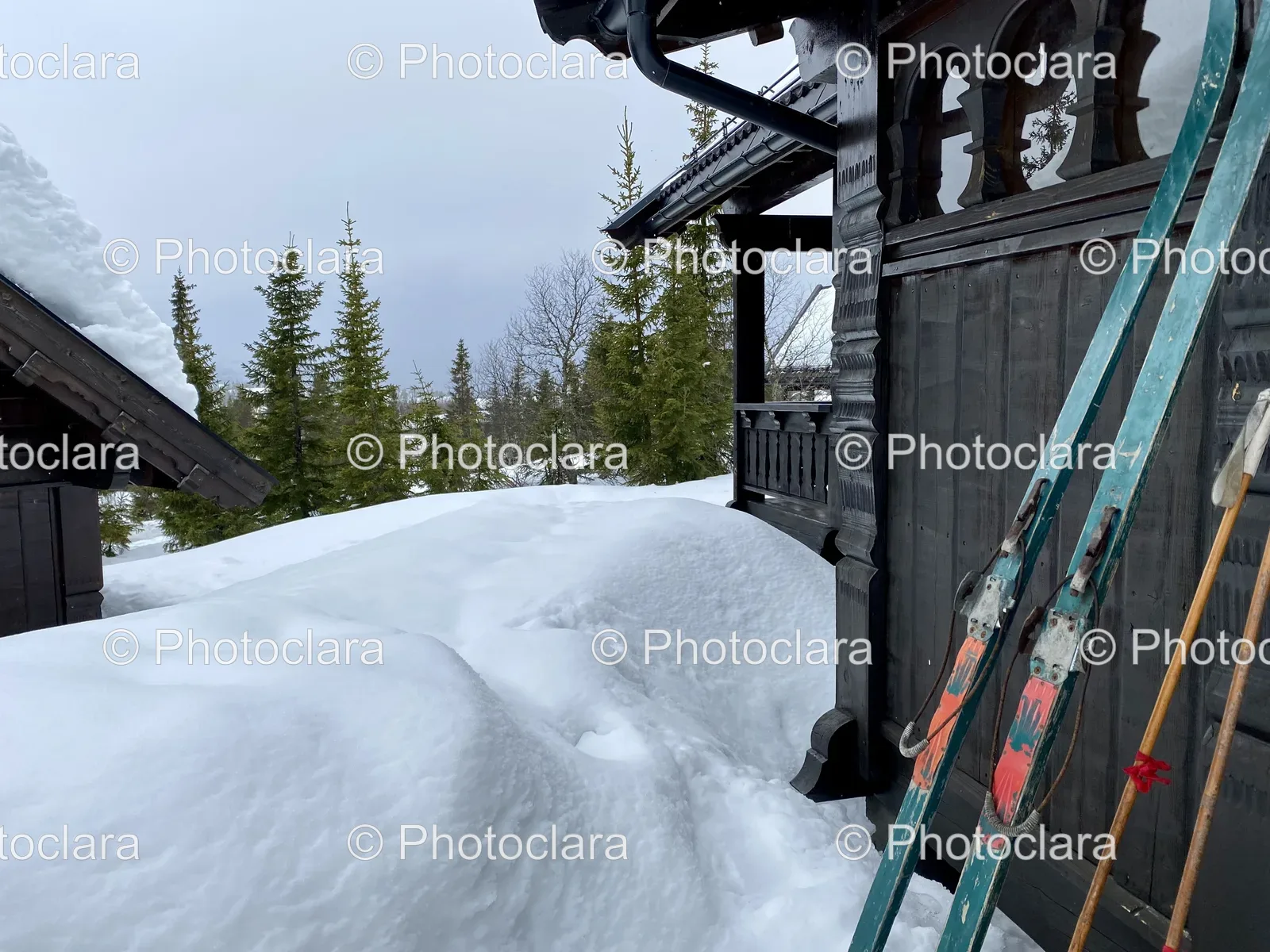 Serene-Snow-Covered-Landscape.jpg
