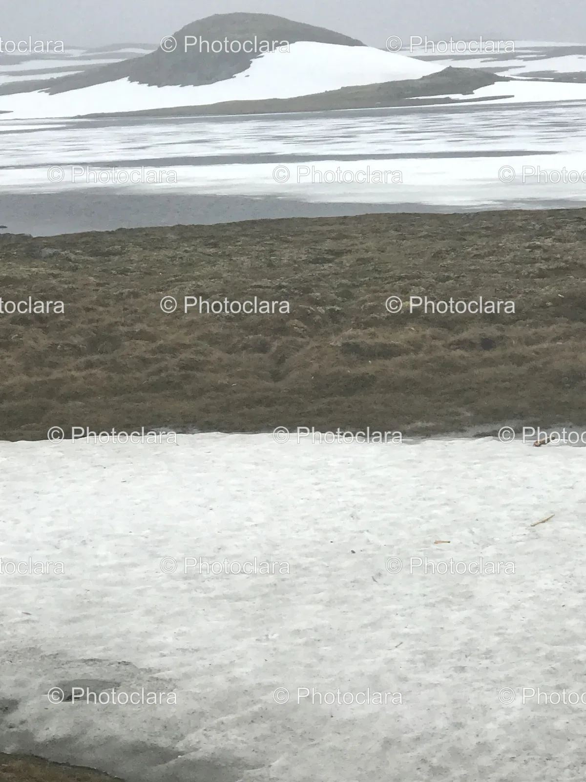 snow-blanketed-tundra.jpg