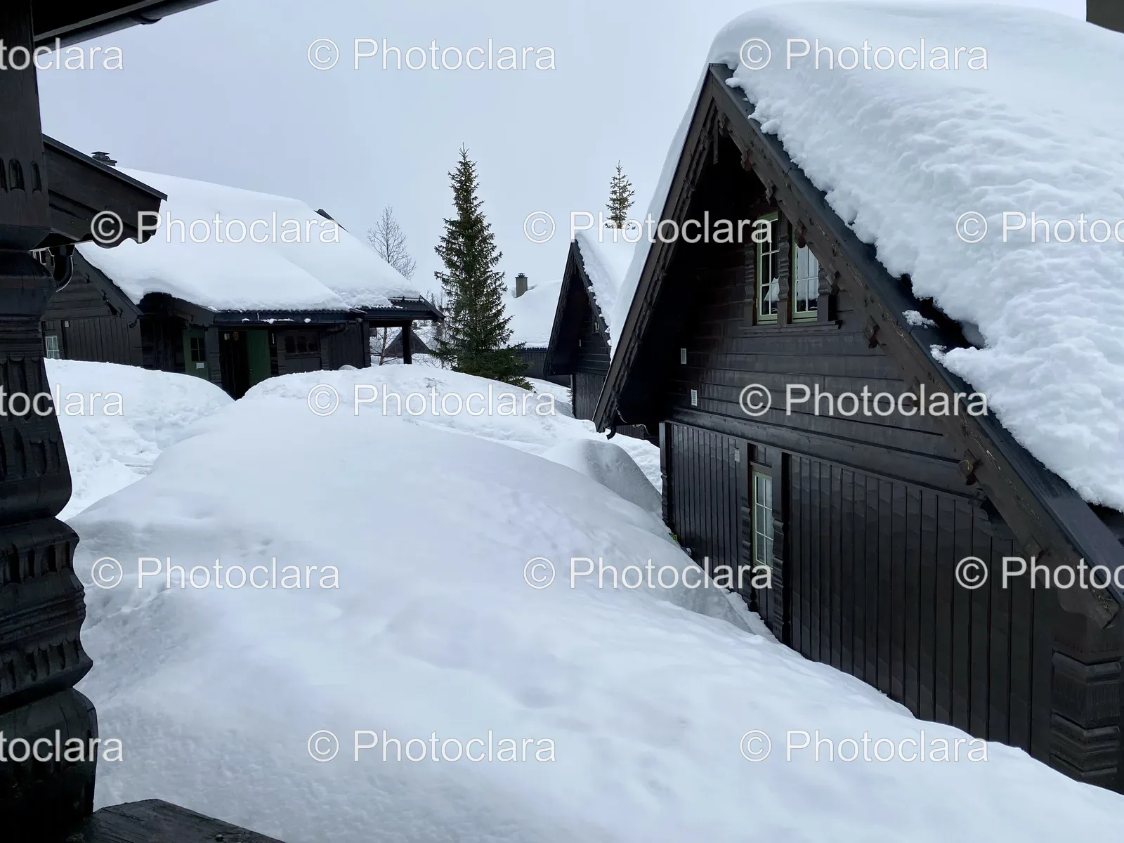 Snow-Covered-Houses-and-Trees.jpg