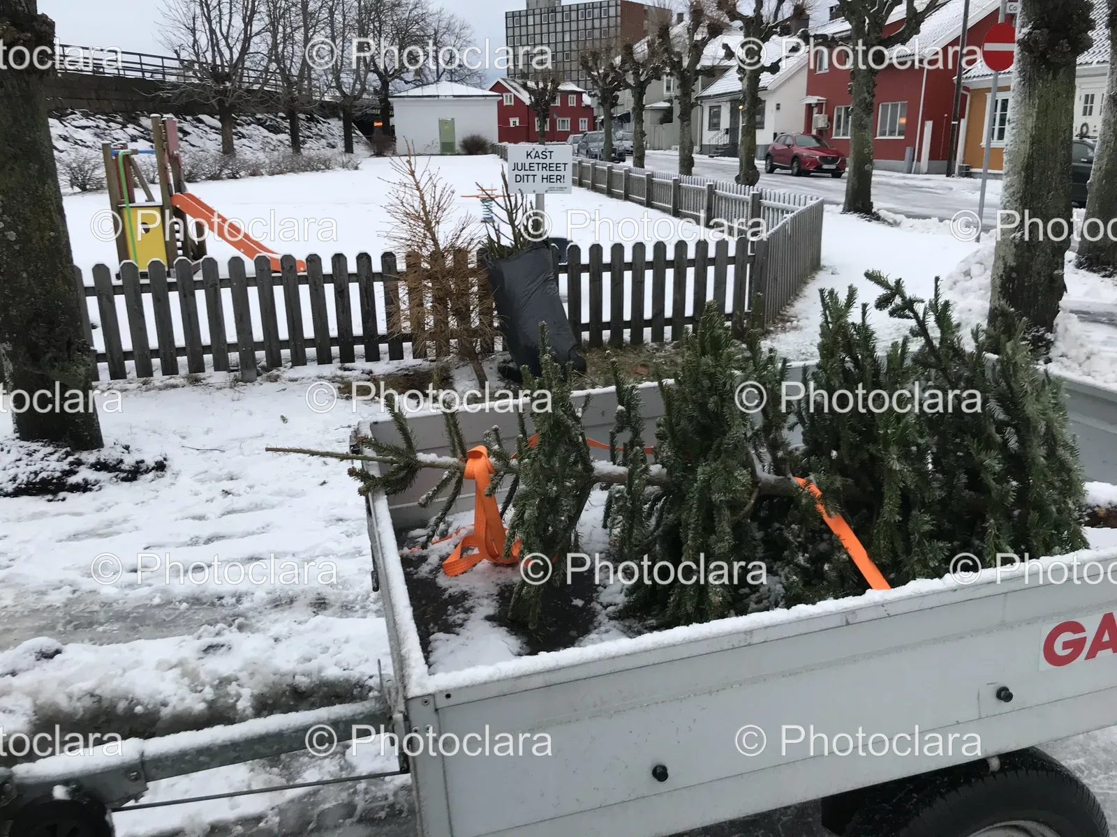snow-covered-tree-trailer-winter.jpg