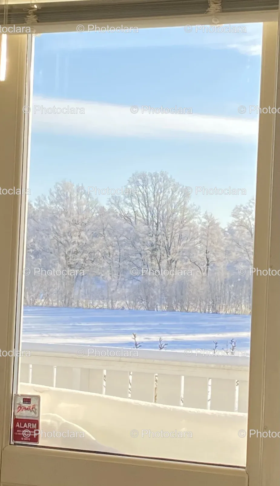 Snow-Covered-Trees-Through-a-Window.jpg