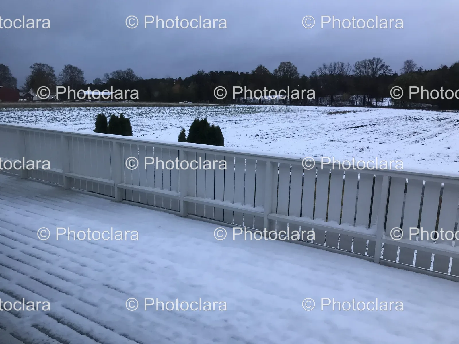 snowy-deck-field-trees.jpg