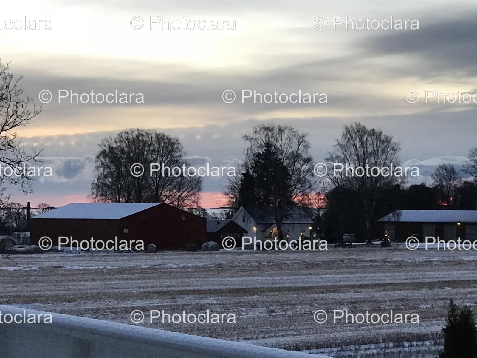 Snowy-Farm-with-Trees.jpg