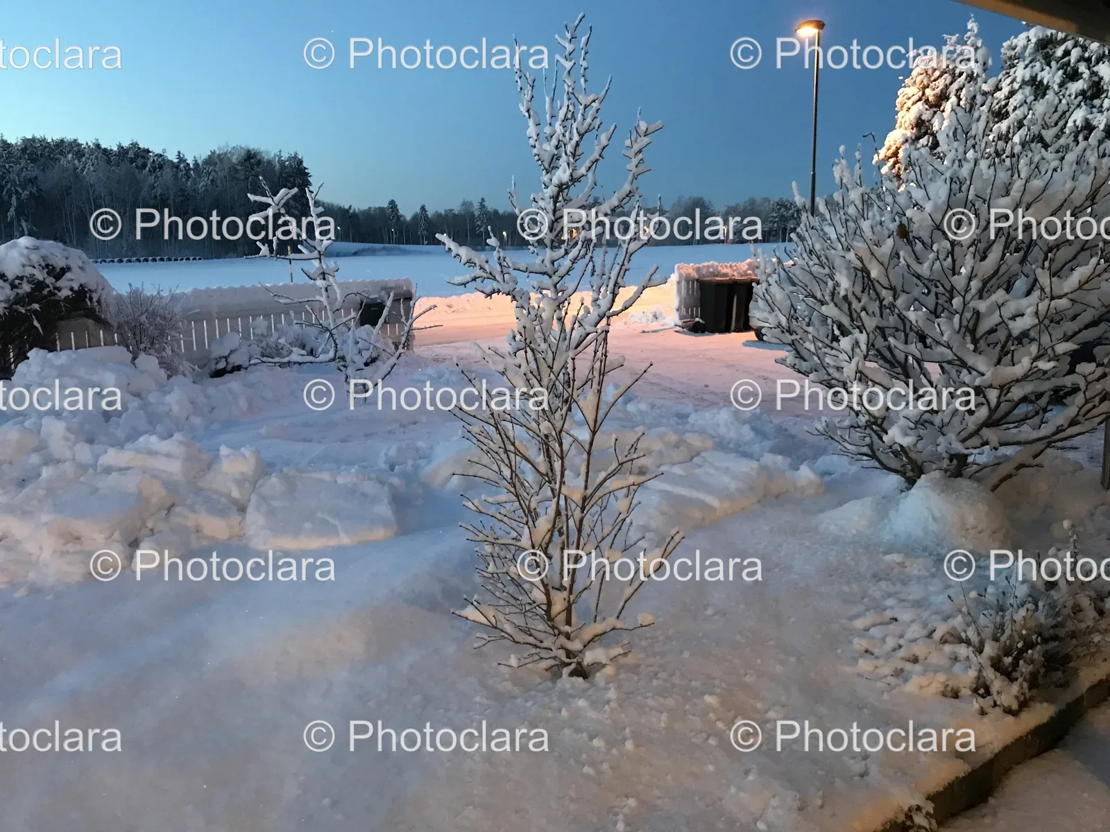 snowy-landscape-trees-fence.jpg