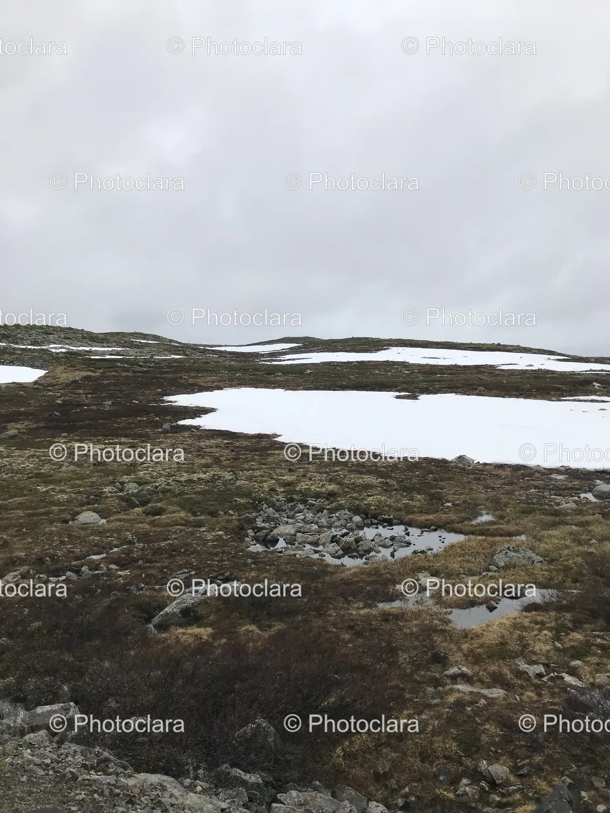 Snowy-Mountain-Reflective-Puddle.jpg