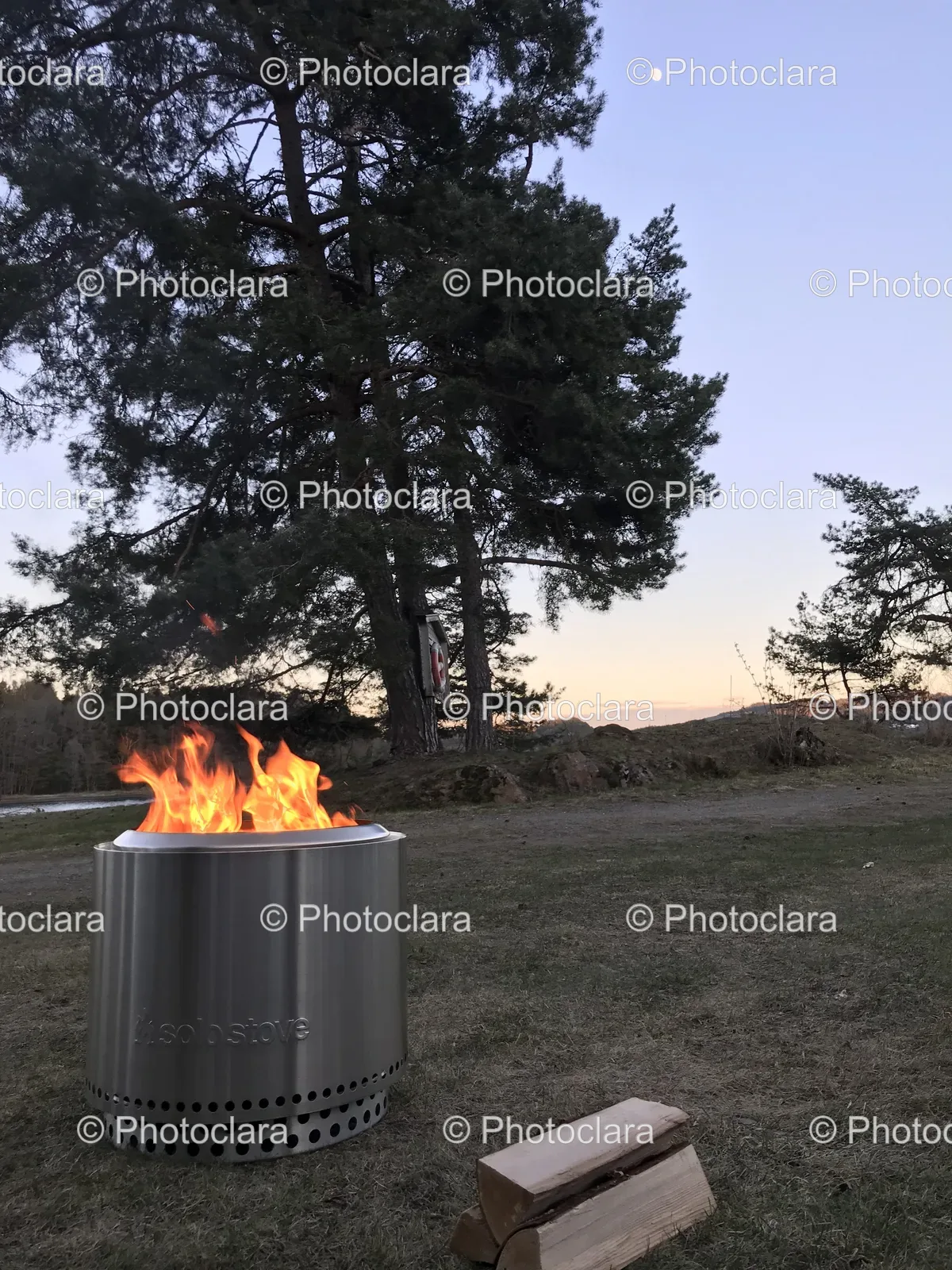 Cozy-Fire-Pit-with-Scenic-Tree-Background.jpg