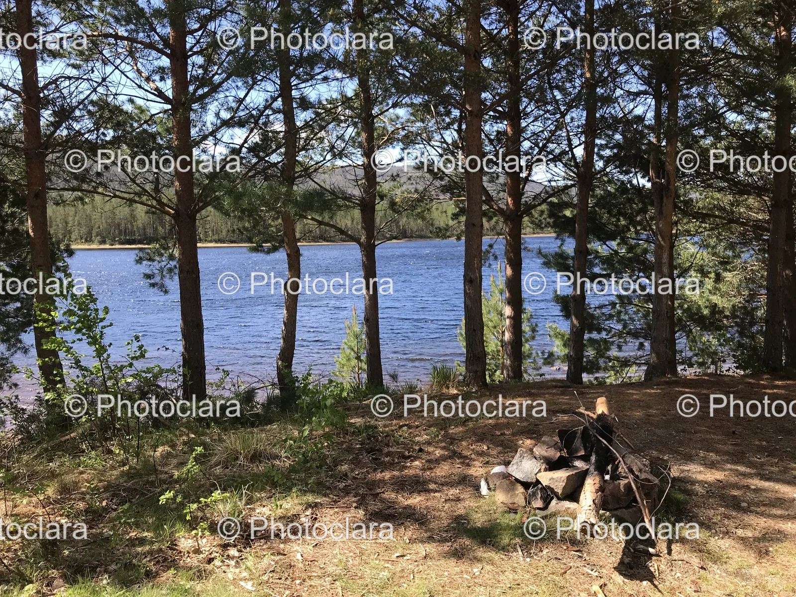 serene-fire-pit-by-a-lake.jpg