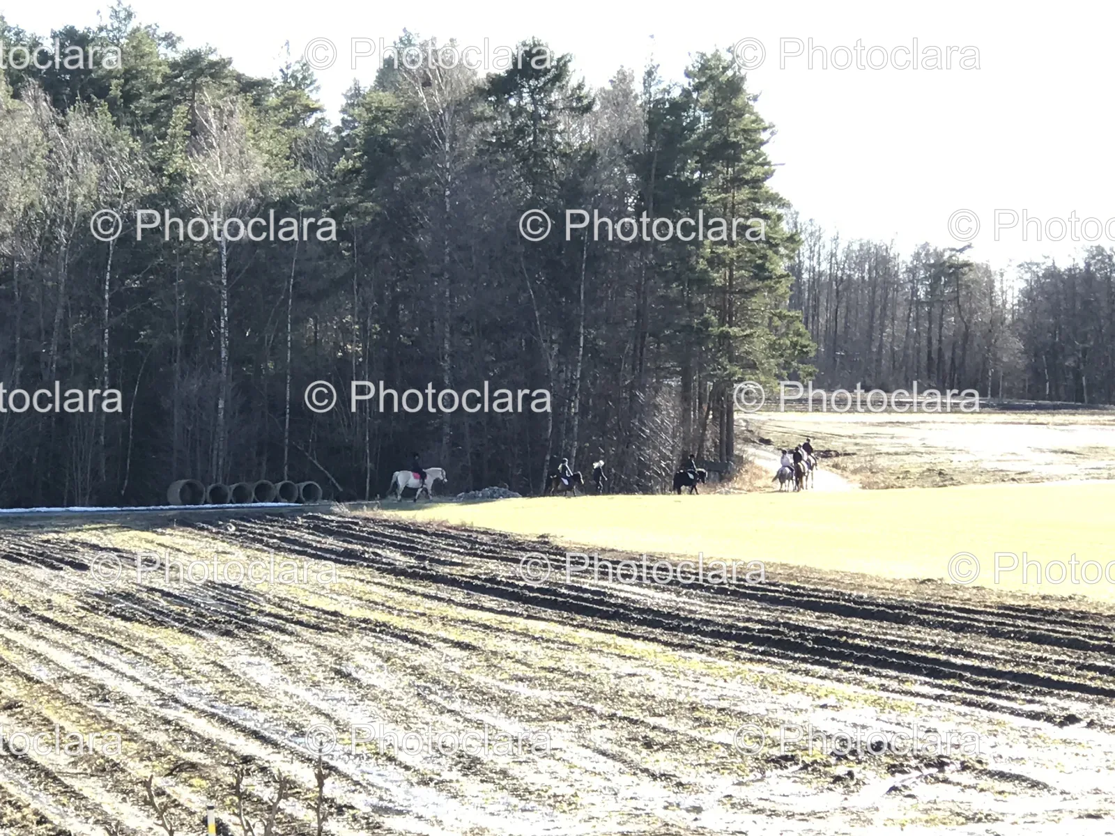 Group-Equestrian-Ride-Scenic-Field.jpg