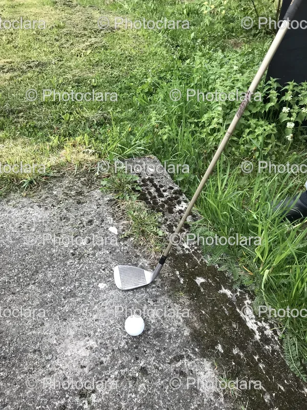 Golfing and Greens