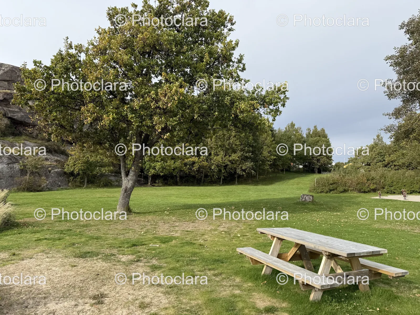 scenic-picnic-table-in-grassy-park.jpg