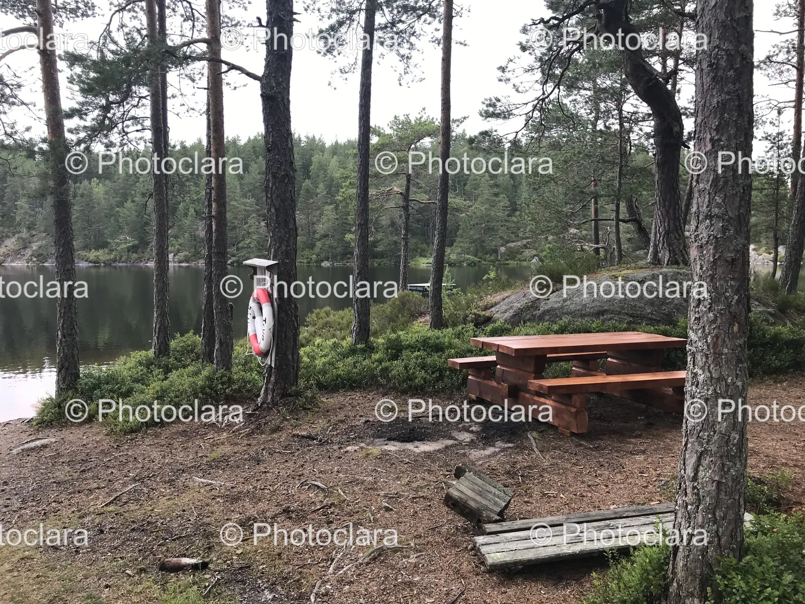 serene-picnic-table-in-a-forest.jpg