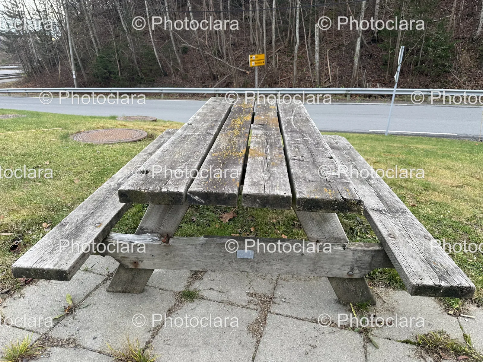 Serenity-at-the-Picnic-Table.jpg